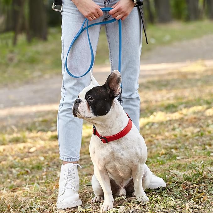 Dogline Biothane Waterproof 6ft Dog Leash Strong Coated Nylon Webbing with Black Hardware Odor-Proof Easy to Clean High Performance for Small or Large Dogs Made in USA 6ft Lead, Cerulean Blue