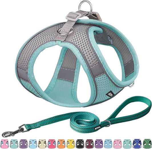 AIITLE Small Harness for Puppy with A Leash - Summer Dog Vest Harness with Super Breathable Mesh, Reflective No-Pull Pet Harness for Outdoor Walking, Camping for Small Dogs, Cats Turquoise XXS
