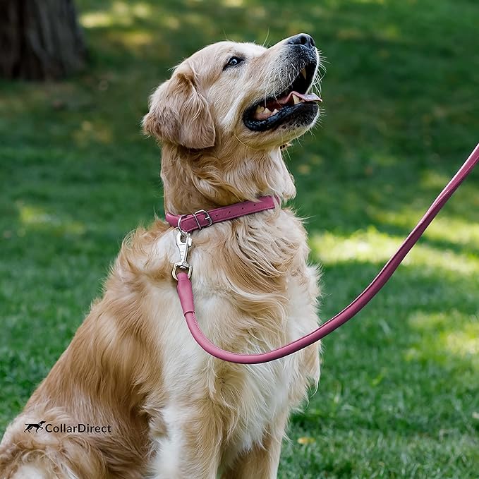 CollarDirect Rolled Leather Dog Collar, Soft Padded Round Puppy Collar, Handmade Genuine Leather Collar Dog Small Large Cat Collars 13 Colors (6-7 Inch, Pink Textured)