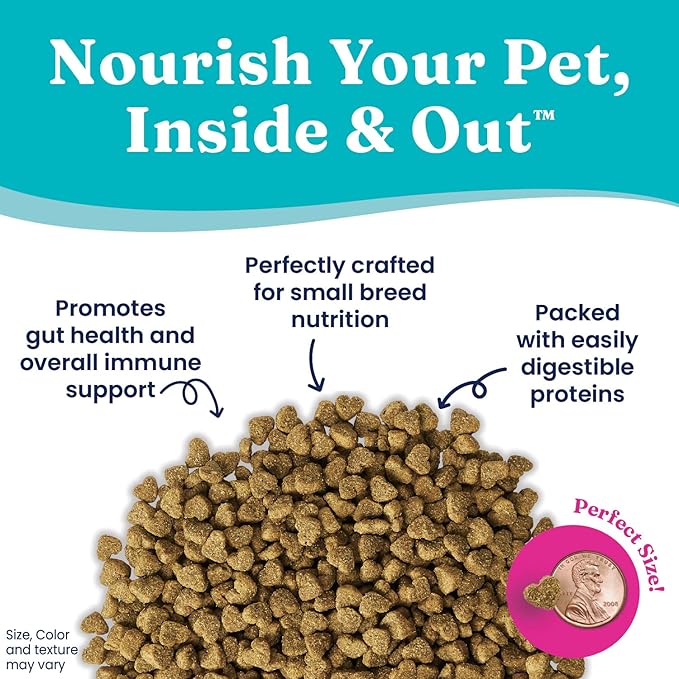 Solid Gold Toy & Small Breed Dry Dog Food Small Bites – Real Beef, Grain Free, Gluten Free, High Fiber Kibble with Probiotics for Gut Health & Digestion Support – Healthy Dog Food All Ages – 4LB