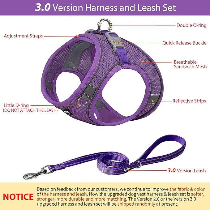 AIITLE Small Harness for Puppy with A Leash - Summer Dog Vest Harness with Super Breathable Mesh, Reflective No-Pull Pet Harness for Outdoor Walking, Camping for Small Dogs, Cats Pure Purple XXS