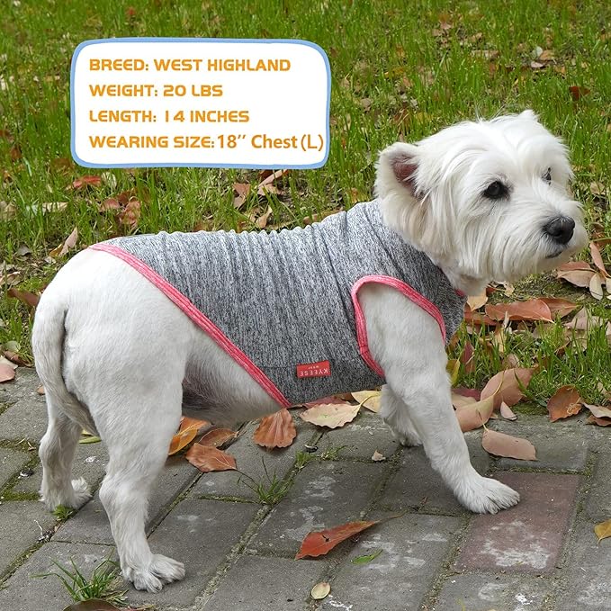 KYEESE 2 Pack Dog Shirts for Small Dogs Quick Dry Soft Stretchy Dogs T-Shirts with Reflective Label Tank Top Sleeveless Vest Sun Protection Pet Clothes Puppy Shirt, Coral Red+Grey, S