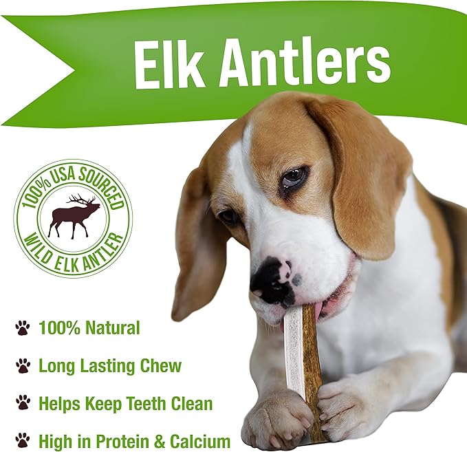 Buck Bone Organics Dog Chews, Antlers for Dogs, Premium Natural Elk, Long Lasting Dog Bones for Aggressive Chewers, No Preservatives, Wild Shed in The USA (Medium 2 Pack)