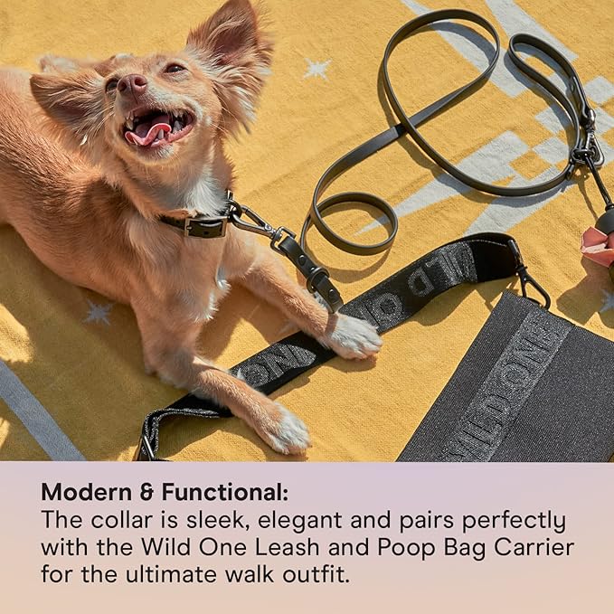 Wild One Dog Collar, Easy-Clean, All Weather Flex-Poly Strap with Metal, Durable, Dirt and Odor Resistant (Black, M)