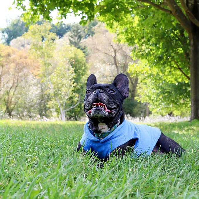 JACKO & CO - Fleece Vest Dog Sweater with Leash Ring - Soft, Warm & Lightweight Pullover Coat for Small & Medium Dogs, Puppies & Cats - Cozy Fall/Winter/Spring Pet Jacket (Blue, Medium 6-10lbs)