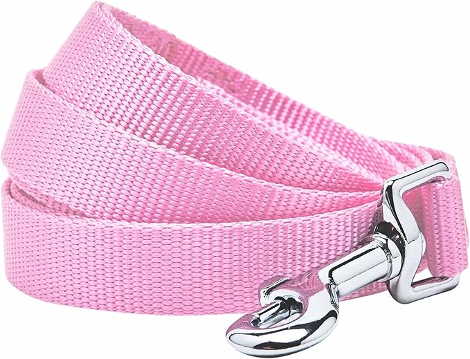 Blueberry Pet Essentials Fuchsia Pink Dog Leash for Large - 4' * 1" Dogs | Heavy Duty Nylon Lead | Lightweight Puppy & Cat Leash for Walking & Training