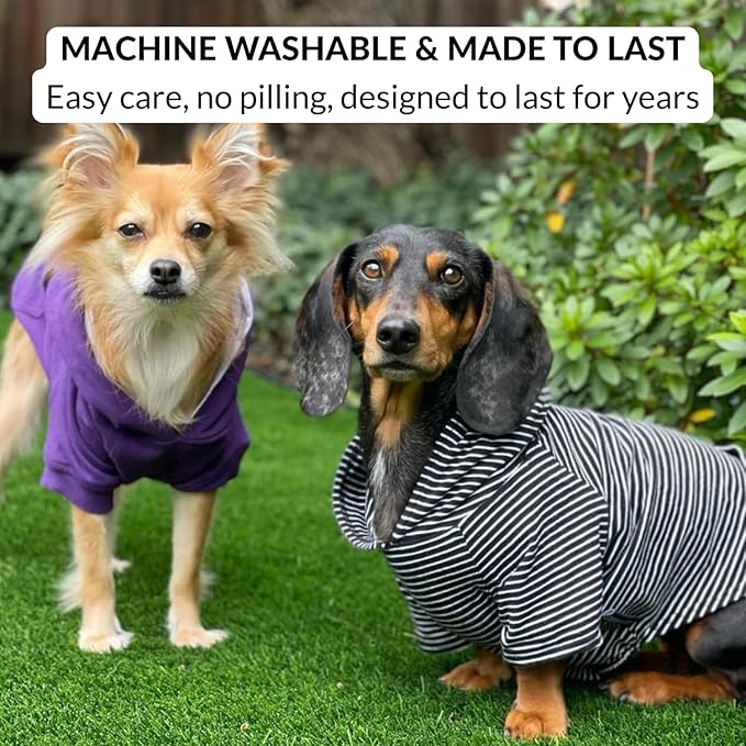 DJANGO Dog Hoodie – Warm, Lightweight, Soft & Stretchy Dog Sweater with Hood, Harness Hole & Elastic Waistband – Cozy Sweatshirt for Small Dogs up to 25 lbs, Dachshunds & Puppies – Black, Medium