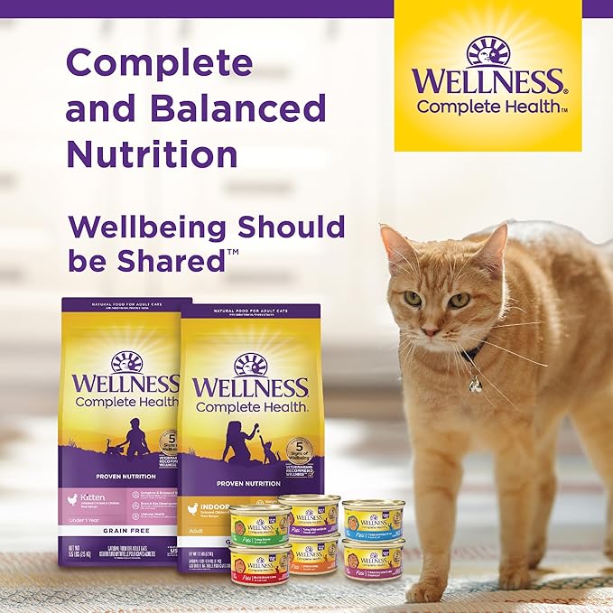 Wellness Complete Health Adult Dry Cat Food for Indoor Cats, Grain Free, Natural, Salmon and Herring Meal (5.5 Pound Bag)