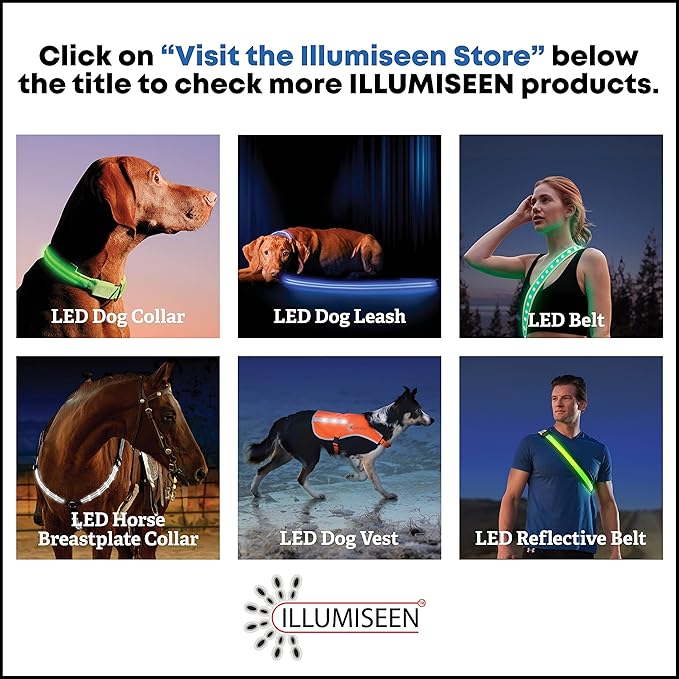 Illumiseen LED Dog Collar USB Rechargeable - Bright & High Visibility Lighted Glow Collar for Pet Night Walking - Weatherproof, in 6 Colors & 6 Sizes (Red XX-Small)