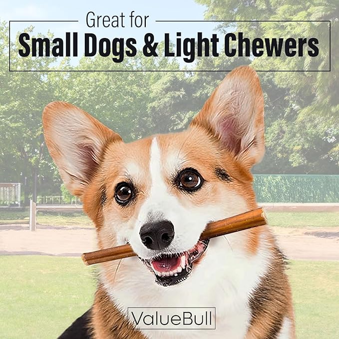 ValueBull Bully Sticks for Small Dogs, Thin 6 Inch, 100 Count Bulk Pack - All Natural, Grass Fed, Single Ingredient, Long Lasting Dog Treats