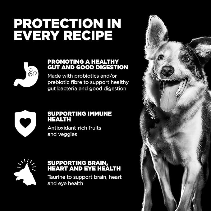 Go! Solutions Sensitivities Limited Ingredients, Grain-Free Dry Dog Food, Lamb Recipe for Sensitive Stomach, 22 lb Bag