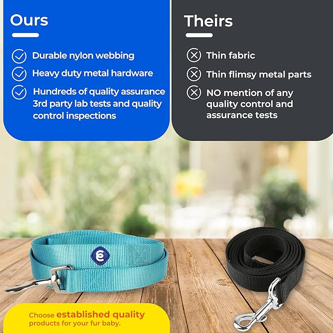 Blueberry Pet Essentials Blazing Yellow Dog Leash for X-Small -5' * 3/8" Dogs | Heavy Duty Nylon Lead | Lightweight Puppy & Cat Leash for Walking & Training