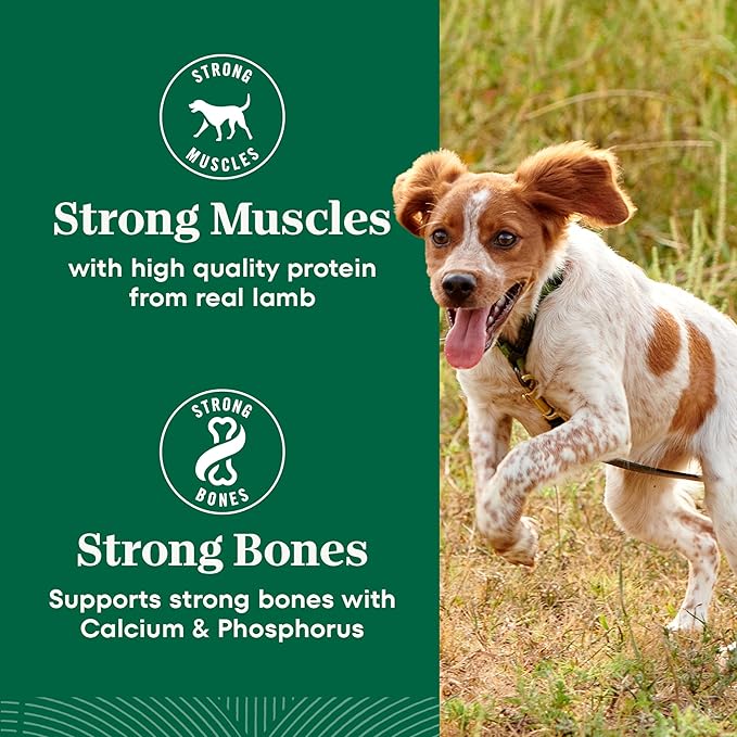 Nutro Natural Choice Lamb & Brown Rice Adult Small Bites Dog Food Recipe, 12 lb. Bag