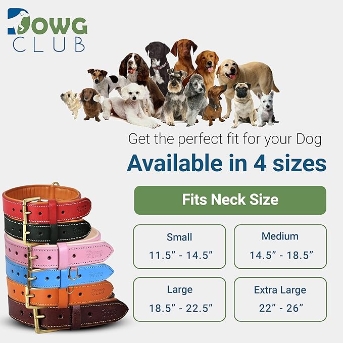 Leather Dog Collar for Extra Large Dogs, Light Pink, 1.5 Inch Wide, Genuine Leather, Heavy Duty with Soft Inner Padding, Comfortable and Durable(Blush Pink, XL (Fit Neck Size 22"-26"))