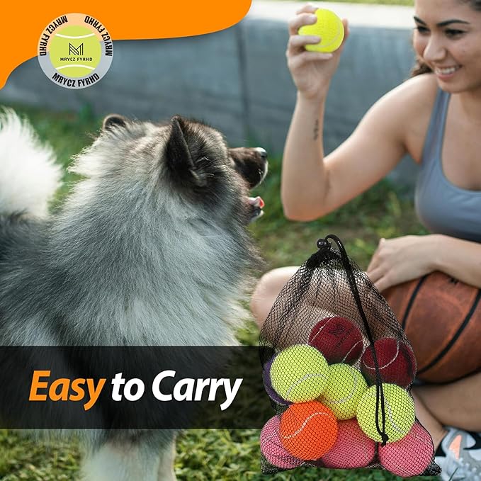 Tennis Ball Dog Toys 4 Pack - Giant 4-Inch Durable and Safe Fetch Tennis Ball for Dogs with Mesh Bag, Large Dog Tennis Balls Perfect for Indoor and Outdoor Interactive Play(Multicolor)