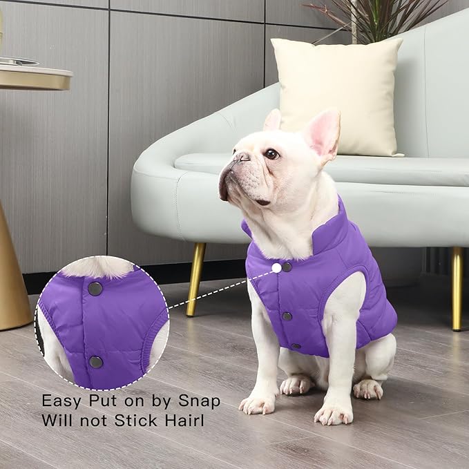 2 Layers Fleece Lined Warm Dog Jacket for Winter Cold Weather,Soft Windproof Medium Dog Coat,Purple L