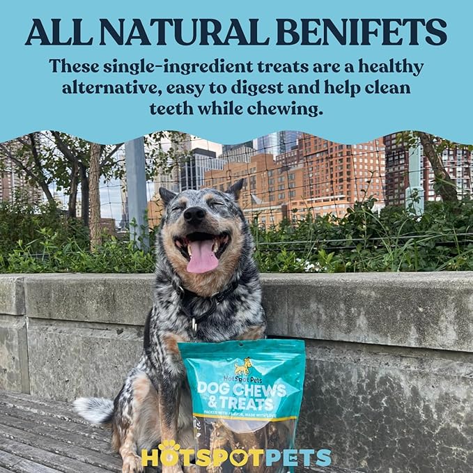 hotspot pets All-Natural Braided Beef Gullet Sticks (5 Pack) Grass-Fed, 6'' Braided Esophagus Jerky Treats - Rich in Glucosamine & Chondroitin for Joint Health – Rawhide-Free Dog Chews