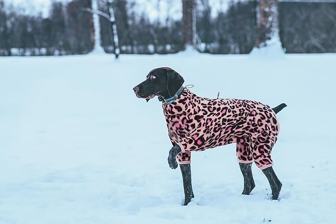 ROZKITCH Dog Winter Coats for Small Dogs, Pet Windproof Warm Cold Weather Jacket Vest with Luminous Zipper, Jumpsuit Apparel Outfit Clothes for Small Dog L-Pink 2XS