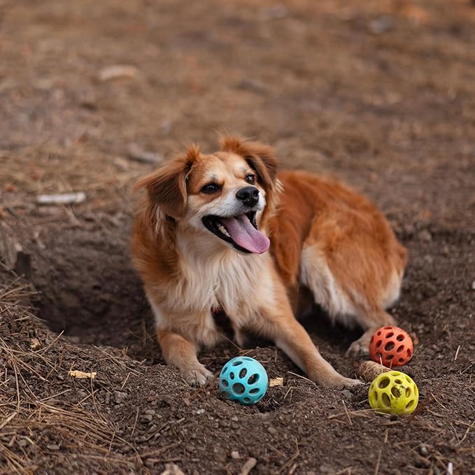 Messy Mutts Totally Pooched Huff'n Puff Ball | 2.5” TPR Puzzle Ball for Dogs | 2-in-1 Durable Interactive Toy and Tooth Cleaner | Teal