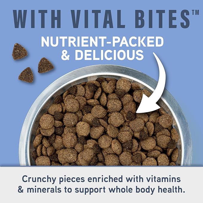 Natural Balance Specialized Nutrition Dry Dog Food Formula with Chicken and Oatmeal for Dogs, Joint Health & Muscle Health Dog Food, Natural Ingredients with Added Vitamins & Minerals - 3.5 lbs