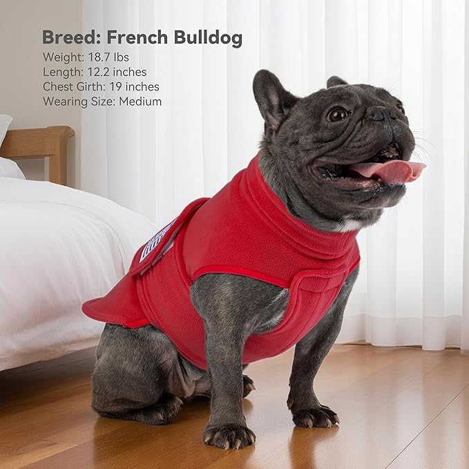 cyeollo Small Dog Sweater, Fleece Dog Sweaters Turtleneck Vest Soft Puppy Sweatshirt Stretchy Pet Fall Autumn Coat Warm Winter Clothes for Small Dogs Girl, Red M