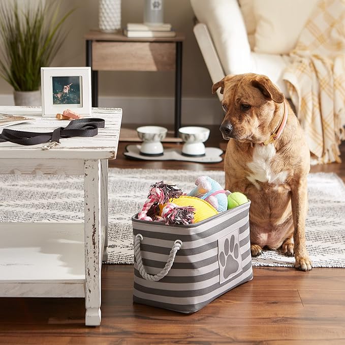 Bone Dry Pet Storage Collection Striped Paw Patch Bin, Small Rectangle, Gray