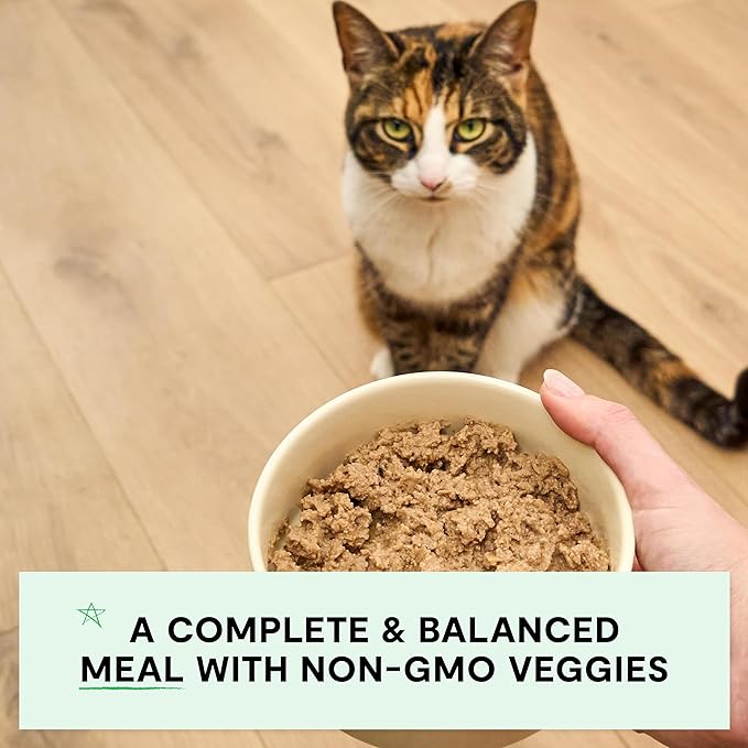 Open Farm Canned Cat Food, Pate for Complete & Balanced Nutrition, Grain Free and Legume-Free Wet Cat Food, Homestead Turkey Recipe, 2.8oz Cans (Case of 18)