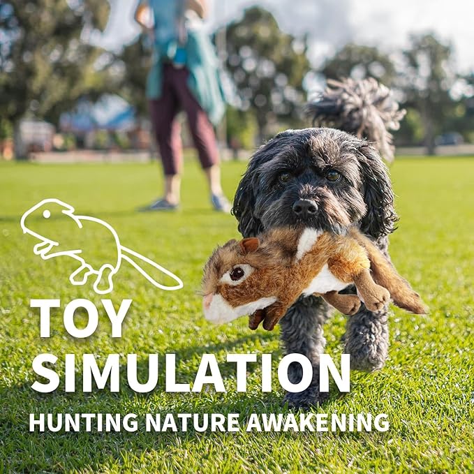 ALL FOR PAWS Squirrel Squeaky Doy Toy, Squirrel Dog Toy for Medium Large Breed, Puppy Fetch Toy with Squeaker, Plush Chew Dog Toy, 13.8 x 3.9 x 4.1inches, Chipmunk-L