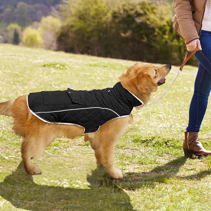 Malier Dog Winter Coat, Windproof Dog Cold Weather Coats with Real Pocket, Winter Extra Warm Pet Coat Fleece Jacket Reflective Clothes for Small Medium Large Dogs and Puppy (Black, Small)