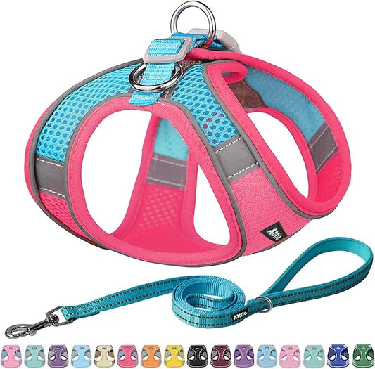 AIITLE Easy Walk Dog Harness and Leash Set - Pet Supply No Pull, Step in Adjustable Pet Harnesses with Padded Vest for Summer, No Choke Over, Easy to Put on Medium Dogs Hot Pink L