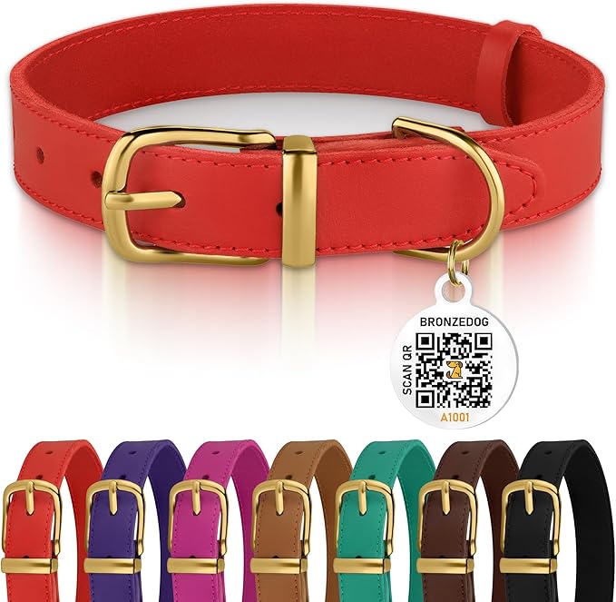 BRONZEDOG Leather Dog Collar with Metal Buckle Durable Basic Pet Collars for Small Medium Large Dogs (19-21 Inch (Pack of 1), Red & Gold Buckle)