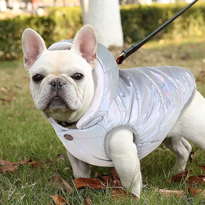 Windproof Waterproof Dog Coat - Fleece & Cotton Lined Warm Jacket, Cold Weather Pet Apparel for Small to Large Dogs (XS, Silver)
