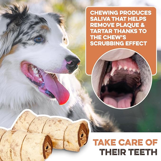 Premium Beef Cheek Rolls for Dogs 10-12" - (10-Pack), Peanut Butter Flavored Long Lasting, Safe & Natural Rawhide Alternative Chews, Ideal for Large Dogs & Aggressive Chewers, Supports Dental Health