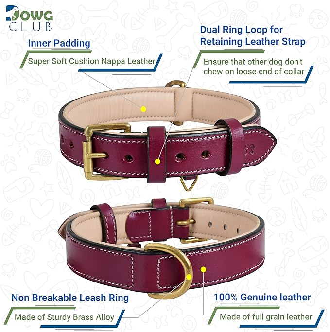 Genuine Leather Dog Collar | Full Grain, Heavy Duty, Comfortable, Padded, Strong | Best for Pups, Small, Medium, Large & XL Breeds (X-Large (Fit Neck Size 22"-26"), Dark Pink)