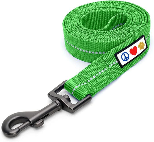 Pawtitas 6 FT Recycled Dog Leash With Reflective Stitched Thread - Medium, Made From Plastic Bottles Collected From Oceans - Green