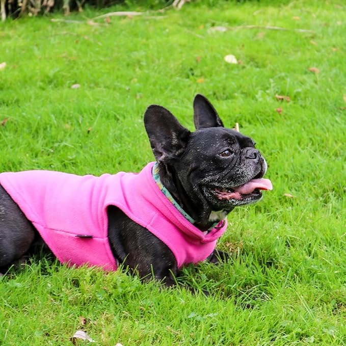 JACKO & CO - Fleece Vest Dog Sweater with Leash Ring - Soft, Warm & Lightweight Pullover Coat for Small & Medium Dogs, Puppies & Cats - Cozy Fall/Winter/Spring Pet Jacket (Pink, Large 10-16lbs)