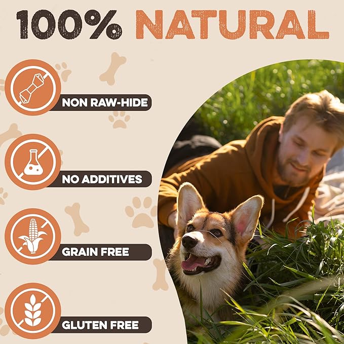 Premium Beef Cheek Rolls for Dogs 10-12" - (3-Pack) Long Lasting, Safe & Natural Rawhide Alternative Chews, Ideal for Large Dogs & Aggressive Chewers, Supports Dental Health & Digestion