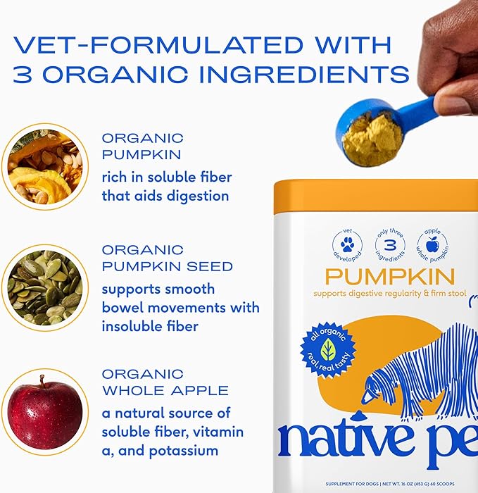 Native Pet Beef Bone Broth for Dogs (4.75 oz) & Organic Pumpkin for Dogs (8 oz.) - Dog Bone Broth Powder Food Topper for Picky Eater and All-Natural, Organic Fiber Pumpkin Powder
