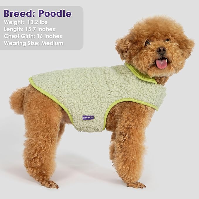 cyeollo Warm Dog Coat Fleece Sherpa Winter Sweater Coats, Turtleneck Dog Jacket Vest for Small Medium Large Dogs with Leash Hole, Soft Reversible Pet Coats for Cold Weather, Green, L