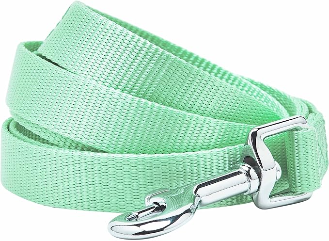 Blueberry Pet Essentials Pastel Green Dog Leash for Large - 4' * 1" Dogs | Heavy Duty Nylon Lead | Lightweight Puppy & Cat Leash for Walking & Training