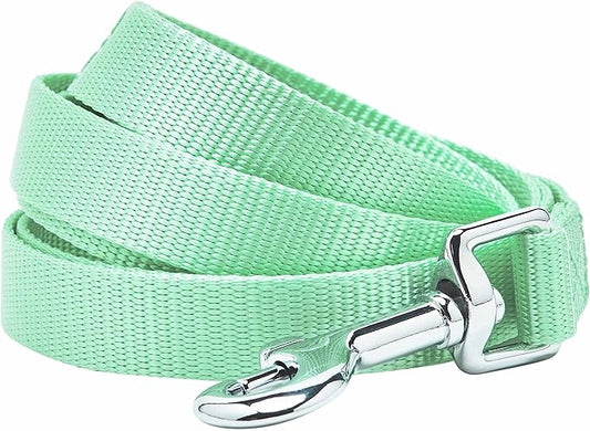 Blueberry Pet Essentials Pastel Green Dog Leash for Large - 4' * 1" Dogs | Heavy Duty Nylon Lead | Lightweight Puppy & Cat Leash for Walking & Training