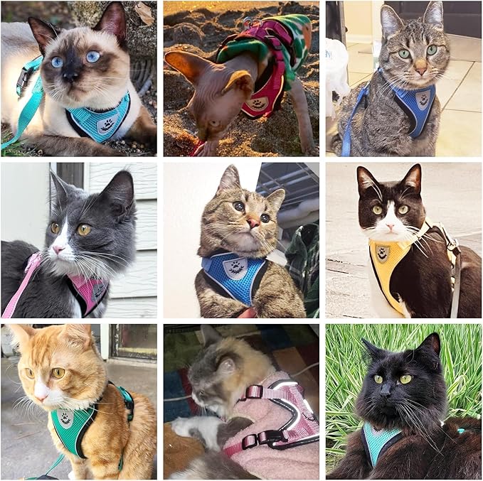 PUPTECK Cat Harness and Leash Set Escape Proof Reflective Cat Walking Harness Adjustable Soft Breathable Mesh Vest for Small Pets, Red, S