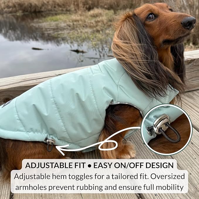 DJANGO Puffer Dog Coat – Warm Winter Dog Jacket & Water-Repellent Insulated Puffer Vest with Striped Lining, Harness Hole, Adjustable Fit for Small & Medium Dogs, Dachshunds – Sea Foam Green, Small