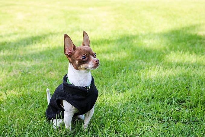 JACKO & CO - Fleece Vest Dog Sweater with Leash Ring - Soft, Warm & Lightweight Pullover Coat for Small & Medium Dogs, Puppies & Cats - Cozy Fall/Winter/Spring Pet Jacket (Black, Large 10-16lbs)