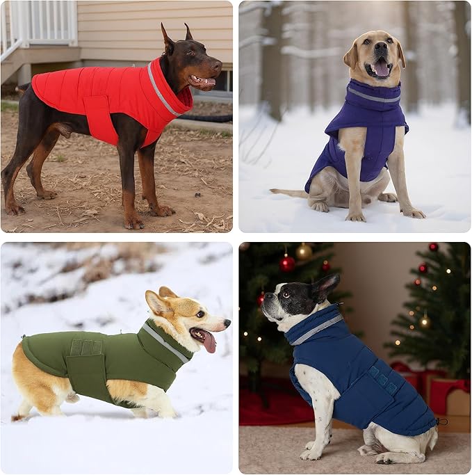 Dog Coat, Waterproof Winter Jacket, Warm Windproof Jacket, Reflective Adjustable Turtleneck Coats for Small Dogs with Hook & Loop - Blue - S