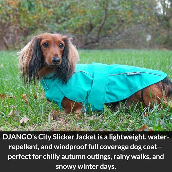 DJANGO Dog Jacket & Raincoat – Lightweight Water-Resistant Coat for Small, Medium & Long Dogs Like Dachshunds – Reflective, Adjustable Fit, Harness-Compatible & Easy-Access Harness Hole - Blue, Small