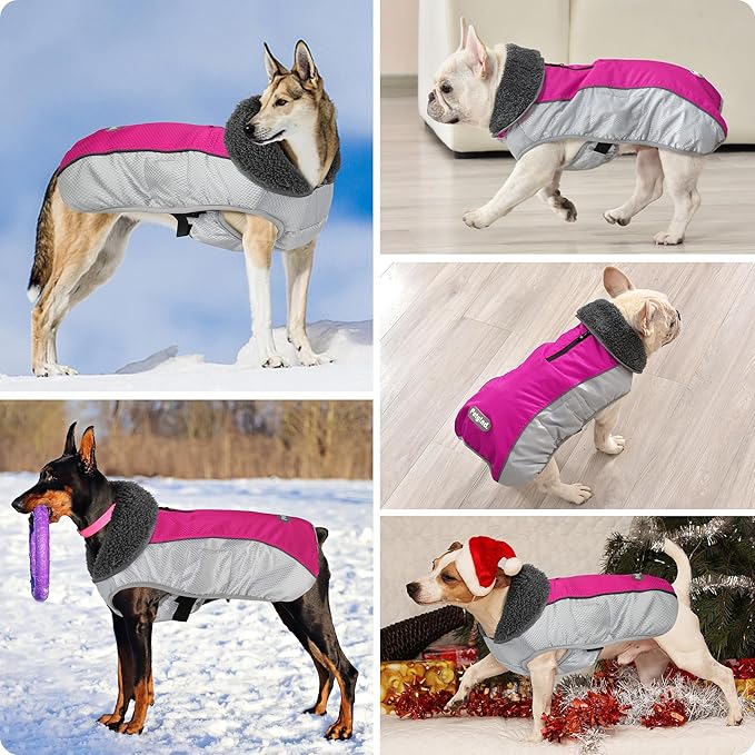Dog Coat, Waterproof Ripstop Dog Winter Jacket with Leash Hole, Reflective Adjustable Warm Pet Fleece Snow Sweater for Small Medium Large Dogs - Rosy Red, M