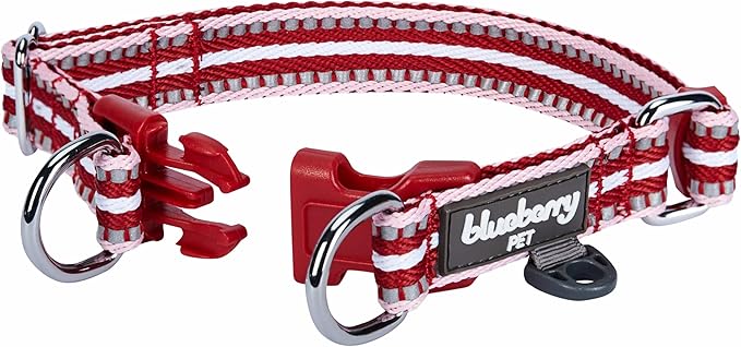 Blueberry Pet Safety Dog Collar with Dual D-Rings | 3M Reflective Multi-Colored Adjustable Collar in Marsala Red and Pink | Soft Nylon Dog Collar for Active Small Dogs