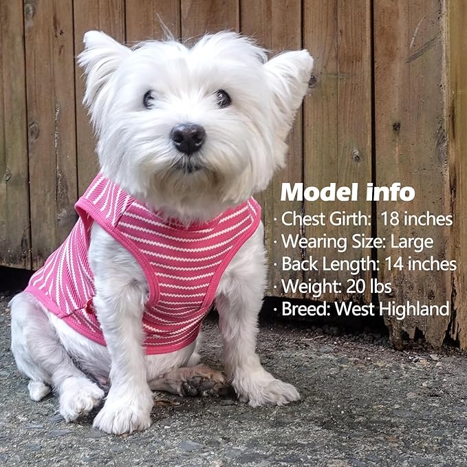 KYEESE 2Pack Dog Shirts Striped for Small Dogs Soft Stretchy Dog T-Shirts Lightweight Tank Top Sleeveless Vest Breathable Pet Apparel, Large, Rose Red+Blue