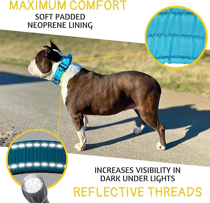 ADITYNA Heavy Duty Dog Collar for Medium Dogs - Reflective Blue Collar with Handle for Training, and Walking - Wide, Thick, Tactical, Soft Neoprene Padded